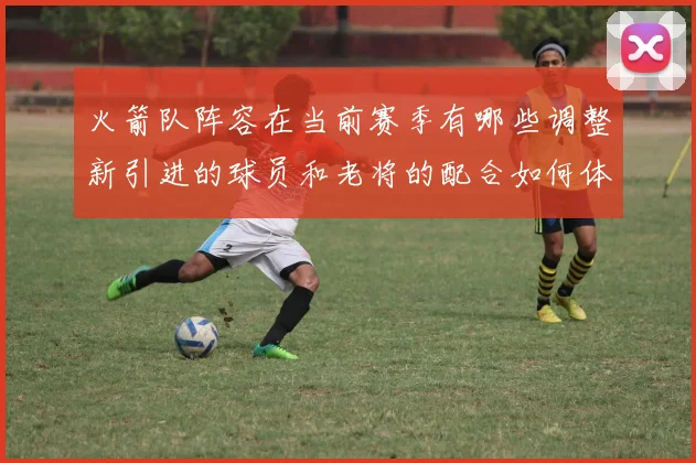 火箭队阵容在当前赛季有哪些调整新引进的球员和老将的配合如何体现
